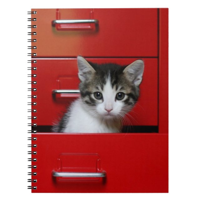 Kitten Peeking Notebook (Front)