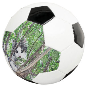 Kitten Pencil Drawing,  Soccer Ball