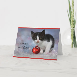 Kitten Personalized Holiday Card
