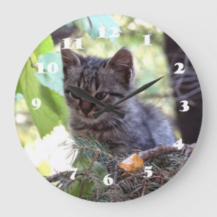 Kitten Photo Baby Cat  Wall Clock