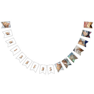 Kitten Photo  Bunting Flags