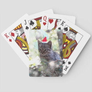 Kitten Photo  Christmas time Classic Playing Cards