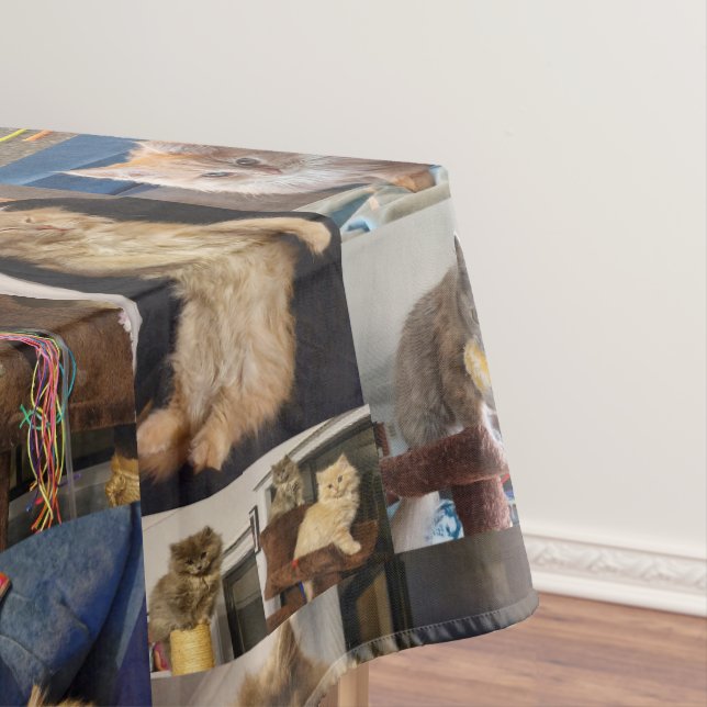 Kitten Photo Collage, Table Cloth (In Situ)