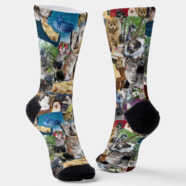 Kitten Photo Collarge, Socks (Angled)
