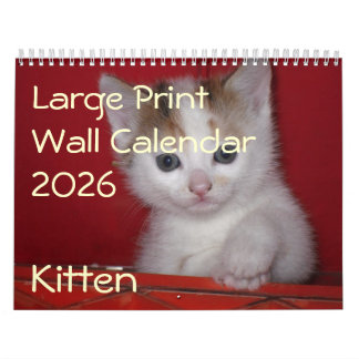 Kitten Photo Wall Calendar 2026