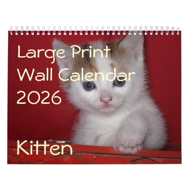 Kitten Photo Wall Calendar 2026 (Cover)