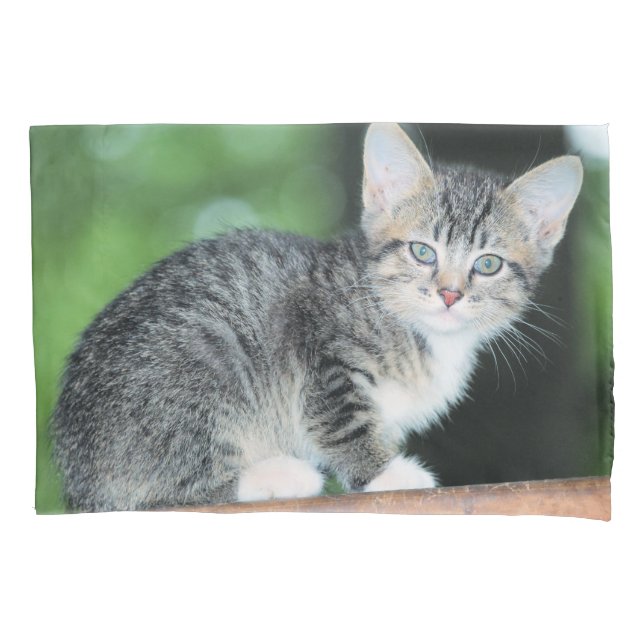 Kitten Pillowcase (Front)