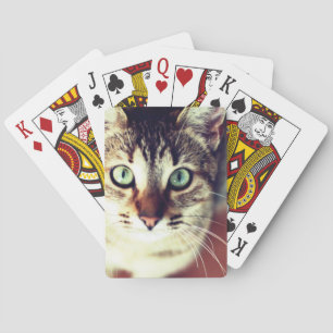 Kitten Playing Cards