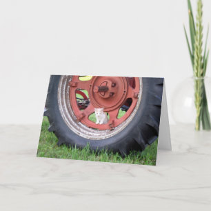 Kitten Playing in a Tractor Wheel Greeting Card
