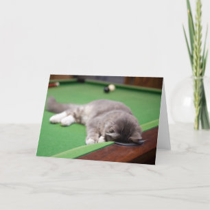 Kitten Playing Pool Card