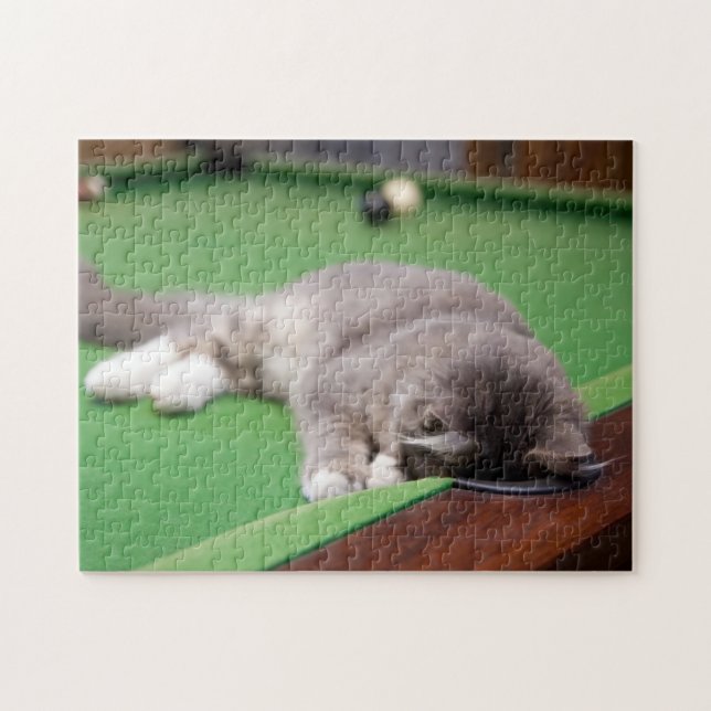 Kitten Playing Pool Jigsaw Puzzle (Horizontal)