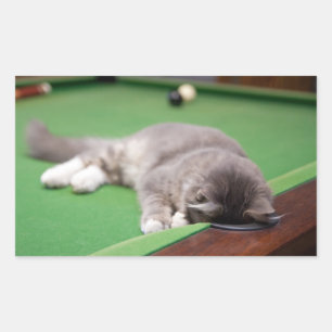 Kitten Playing Pool Sticker