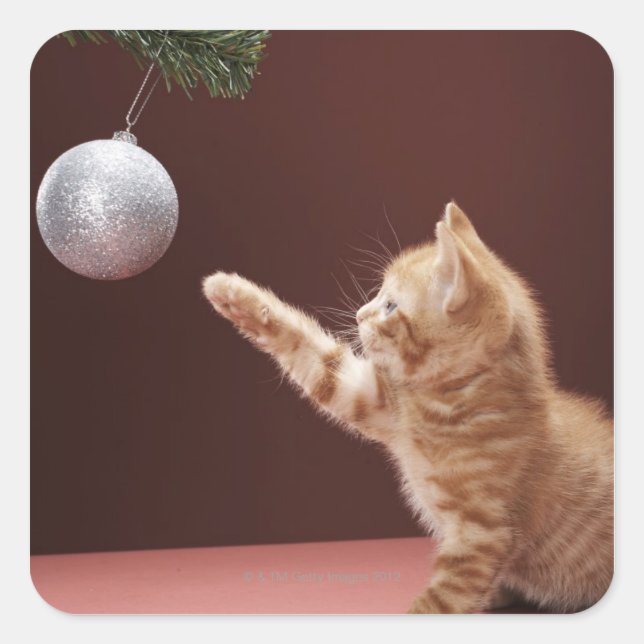 Kitten playing with Christmas bauble on tree Square Sticker (Front)