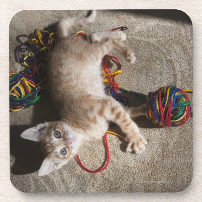 Kitten Playing With Yarn Coaster (Front)