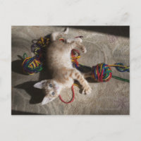 Kitten Playing With Yarn