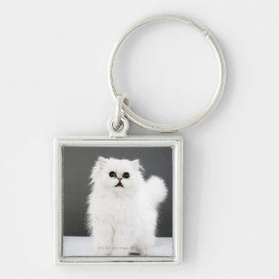 Kitten Portrait Keychain