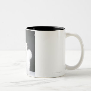 Kitten Portrait Two-Tone Coffee Mug