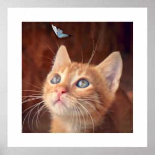 Kitten Poster