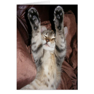 Kitten Power Card