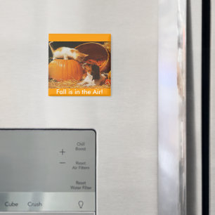 Kitten, Pumpkin and Puppy Magnet