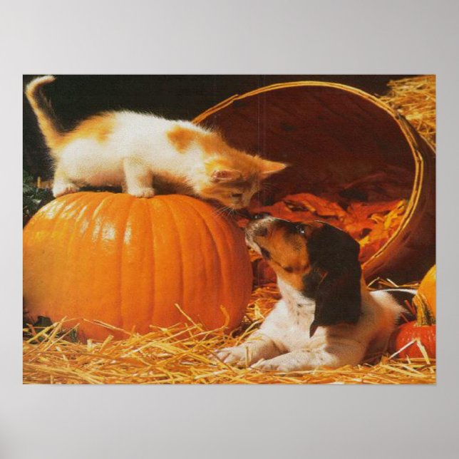 Kitten, Pumpkin and Puppy Print (Front)