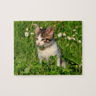 Kitten Puzzle