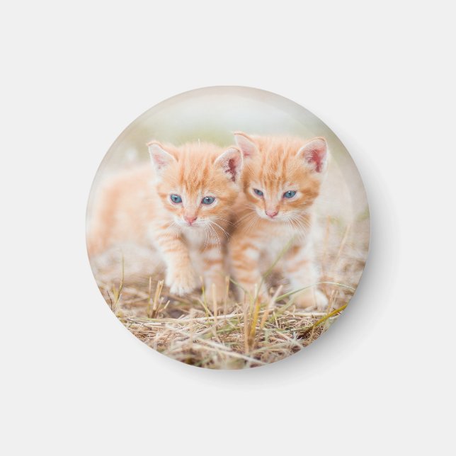 Kitten, Red, Two Magnet (Front)