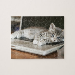 Kitten resting on laptop computer jigsaw puzzle