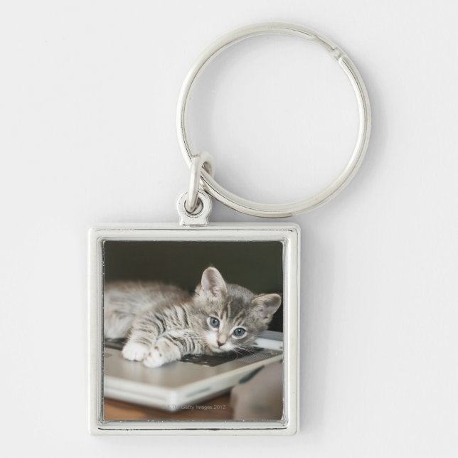 Kitten resting on laptop computer keychain (Front)
