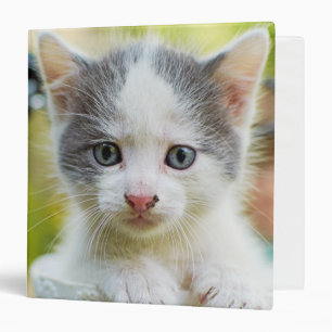 Kitten Rides A Bike Binder