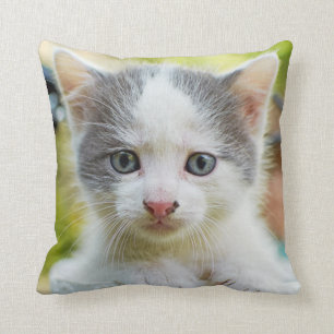 Kitten Rides A Bike Throw Pillow