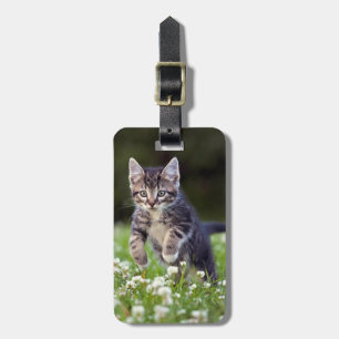 Kitten Running Through Clover Luggage Tag