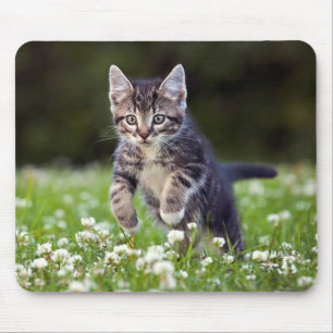 Kitten Running Through Clover Mouse Pad