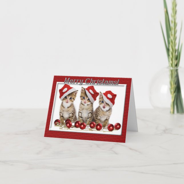 Kitten Santas Christmas Note Card (Front)