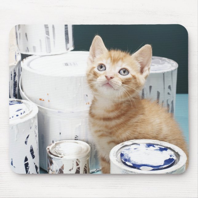 Kitten sitting amongst paint tins mouse pad (Front)