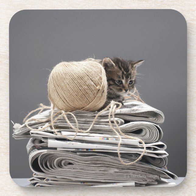 Kitten sitting on pile of newspapers coaster (Front)