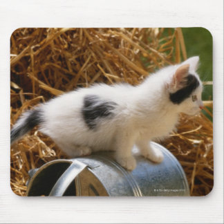 Kitten sitting on top of watering can mouse pad