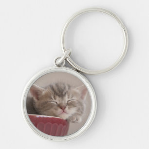 Kitten Sleeping In A Bowl Keychain