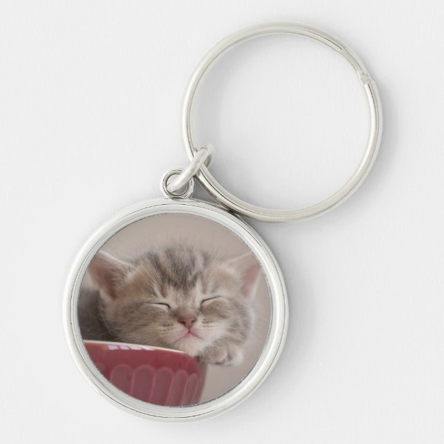 Kitten Sleeping In A Bowl Keychain (Front)