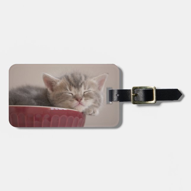 Kitten Sleeping In A Bowl Luggage Tag (Front Horizontal)