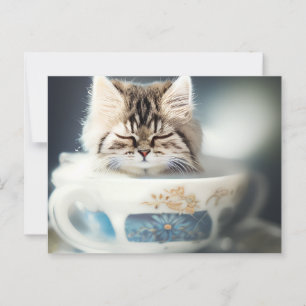 Kitten Sleeping in a Teacup - Cat Postcard