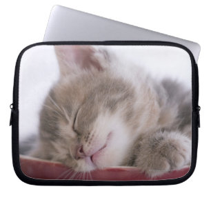 Kitten Sleeping in Bowl 2 Laptop Sleeve
