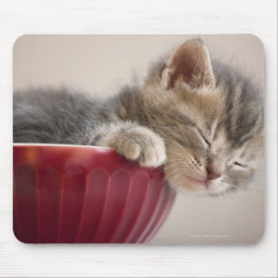 Kitten Sleeping in Bowl Mouse Pad