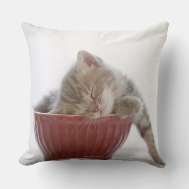Kitten Sleeping in Bowl Throw Pillow (Front)
