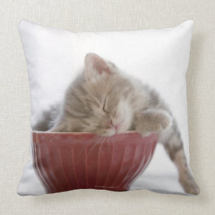 Kitten Sleeping in Bowl Throw Pillow