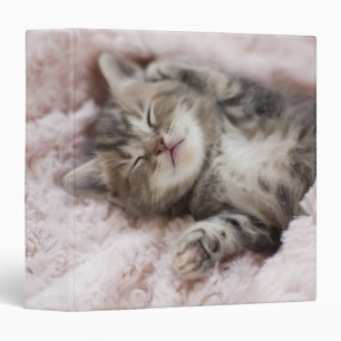 Kitten Sleeping on Towel Binder