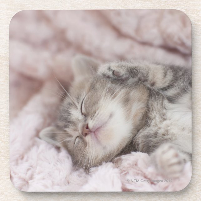 Kitten Sleeping on Towel Coaster (Front)