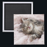 Kitten Sleeping on Towel Magnet<br><div class="desc">Kitten Sleeping on Towel | C.O.T/a.collectionRF | AssetID: 108746250</div>