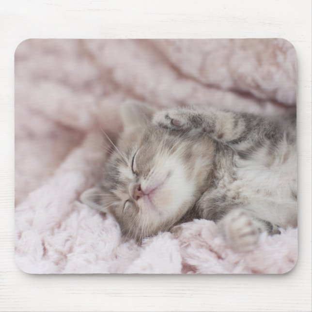 Kitten Sleeping on Towel Mouse Pad (Front)