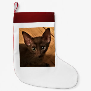 Kitten Small Christmas Stocking